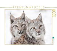 CALVENDO Puzzle Jeunes Lynx 1000 Pieces 64 x 48 cm from Wilfried Martin