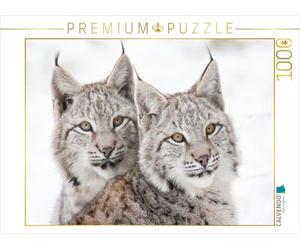 CALVENDO Puzzle Jeunes Lynx 1000 Pieces 64 x 48 cm from Wilfried Martin