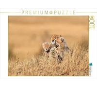 CALVENDO Puzzle Jeunes Talents 1000 Pieces 64 x 48 cm from Elmar Weiß