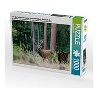 CALVENDO Puzzle Juillet : Le Beihirsch réagit dans la forêt aux buissons. 1000 Pieces 64 x 48 cm from Ingo Gerlach