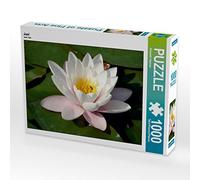 CALVENDO Puzzle Juin 1000 Pieces 64 x 48 cm from Elisabeth Stephan