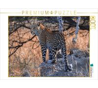 CALVENDO Puzzle Junge Leopardin am frühen Morgen, Moremi Game Reserve | 1000 Tei