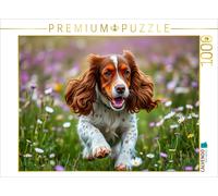 CALVENDO Puzzle Junger American Cocker Spaniel | 1000 pieces, finished size 25.2