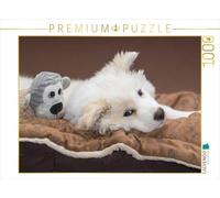 CALVENDO Puzzle Junger Islandhund beim Chillen 1000 Teile Puzzle quer 1000 Pieces 64 x 48 cm from Monika Scheurer