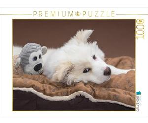 CALVENDO Puzzle Junger Islandhund beim Chillen 1000 Teile Puzzle quer 1000 Pieces 64 x 48 cm from Monika Scheurer