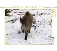 CALVENDO Puzzle Junges Wildschwein im Colditzer Forst | 1000 Teile Lege-Größe 64