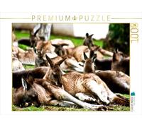 CALVENDO Puzzle Kangourous 1000 Pieces 64 x 48 cm from Aussiefreak