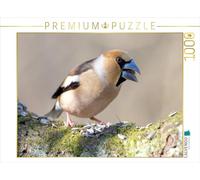 CALVENDO Puzzle Kernbeißer 1000 Teile Puzzle quer 1000 Pieces 64 x 48 cm from Klaus Feske
