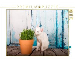 CALVENDO Puzzle Khao Manee Mange de l'herbe à Chat 1000 Pieces 64 x 48 cm from Verena Scholze