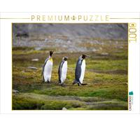 CALVENDO Puzzle King penguin couple with young | 1000 pieces, finished size 25.2