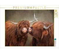 CALVENDO Puzzle Kiss me Kate 1000 Pieces 64 x 48 cm from Claudia Möckel