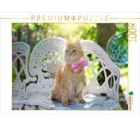 CALVENDO Puzzle Chaton sous Le Soleil du Printemps 1000 Pieces 64 x 48 cm from Elisabeth Stanzer