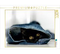 CALVENDO Puzzle Kittens You'll Fall in Love With | 1000 pieces, finished size 25