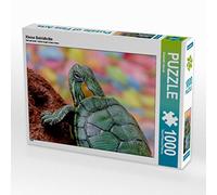 CALVENDO Puzzle Kleine Schildkröte 1000 Teile Puzzle quer 1000 Pieces 64 x 48 cm from Elisabeth Stanzer