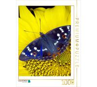 CALVENDO Puzzle Kleiner Schillerfalter auf Sonnenblume | 1000 Teile Lege-Größe 6