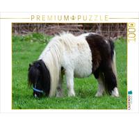 CALVENDO Puzzle Kleinpferd oder einfach liebevoll: Pferdchen | 1000 Teile Lege-G