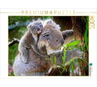 CALVENDO Puzzle Ours Koala avec bébé 1000 Pieces 64 x 48 cm from Renate Bleicher