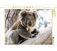 CALVENDO Puzzle Koala im Eukalyptusbaum 1000 Teile Puzzle quer 1000 Pieces 64 x 48 cm from Uwe Bergwitz