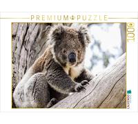 CALVENDO Puzzle Koala im Eukalyptusbaum 1000 Teile Puzzle quer 1000 Pieces 64 x 48 cm from Uwe Bergwitz