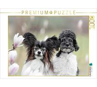 CALVENDO Puzzle kombinierte Schönheiten - Magnolien und Hunde 1000 Teile Puzzle quer 1000 Pieces 64 x 48 cm from boegau