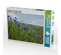CALVENDO Puzzle Kornblumen - Faszination in Blau 1000 Teile Puzzle quer 1000 Pieces 64 x 48 cm from Andrea Potratz.
