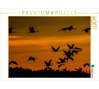 CALVENDO Puzzle Kraniche an der Ostsee 1000 Teile Puzzle quer | 1000 Teile Lege-