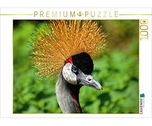 CALVENDO Puzzle Kronenkranich 1000 Teile Puzzle quer 1000 Pieces 64 x 48 cm from Kattobello