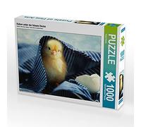 CALVENDO Puzzle Küken Unter der blauen Decke 1000 Teile Puzzle quer 1000 Pieces 64 x 48 cm from Tanja Riedel