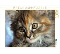 CALVENDO Puzzle Kulleraugen 1000 Teile Puzzle quer 1000 Pieces 64 x 48 cm from Jennifer Chrystal