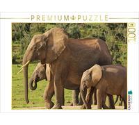 CALVENDO Puzzle La Faune impressionnante de l'Afrique du Sud 1000 Pieces 64 x 48 cm from TakeTheShot