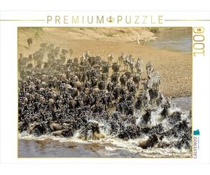 CALVENDO Puzzle La Grande Migration dans Le Masai Mara....Gnus et zèbres 1000 Pieces 64 x 48 cm from Susan Michel