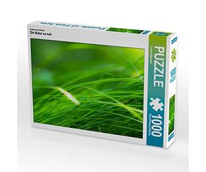 CALVENDO Puzzle La Nature si Proche 1000 Pieces 64 x 48 cm from Torsten mitschke