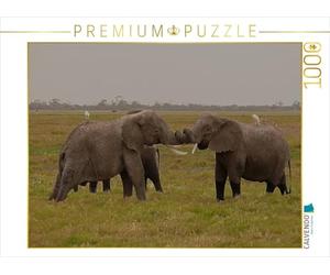 CALVENDO Puzzle La récréation des éléphants dans la Nature. Kenya 1000 Pieces 64 x 48 cm from Susan Michel