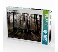 CALVENDO Puzzle La Tombe de Hune dans la forêt de Klecker 1000 Pieces 64 x 48 cm from Heinz Pompsch