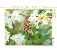 CALVENDO Puzzle L'abeille est Couverte de Pollen sur Toute sa Surface. 1000 Pieces 64 x 48 cm from CALVENDO Verlag