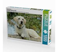 CALVENDO Puzzle Labrador Retriever 2017 1000 Pieces 64 x 48 cm from Anita Schreuer