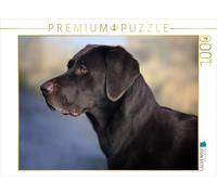 CALVENDO Puzzle Labrador Retriever - Fidèle Compagnon 1000 Pieces 64 x 48 cm from Martina Cross