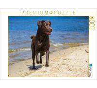 CALVENDO Puzzle Labrador Retriever - Summer Fun | 1000 pieces, finished size 25.