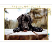 CALVENDO Puzzle Labrador Welpe | 1000 pieces, finished size 25.2 × 18.9 in (64 ×