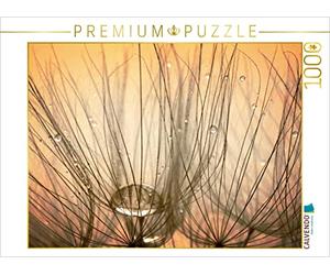 CALVENDO Puzzle Labyrinthes - Chute des graines de Parachute 1000 Pieces 64 x 48 cm from bild-erzaehler