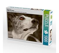 CALVENDO Puzzle L'accroche-Regard du Galgo 1000 Pieces 64 x 48 cm from Andrea Redecker