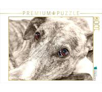 CALVENDO Puzzle L'accroche-Regard du Galgo 1000 Pieces 64 x 48 cm from Andrea Redecker