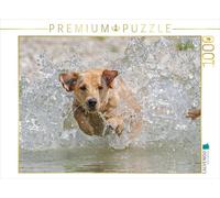 CALVENDO Puzzle L'action du Yellow Labrador sur l'eau 1000 Pieces 64 x 48 cm from Cornelia Strunz