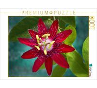 CALVENDO Puzzle Passiflora Lady Margaret 1000 Pieces 64 x 48 cm from Martina Cross