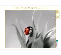 Puzzle CALVENDO Coccinelle porte-bonheur avec la rosée du matin | 1000 pièces, f