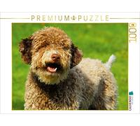 CALVENDO Puzzle Lagotto Romagnolo - Chien Truffe Italien - Portrait de mâle 1000 Pieces 64 x 48 cm from Sista-Tierfoto