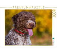 CALVENDO Puzzle Lagotto Romagnolo - Chien truffier Italien en Automne 1000 Pieces 64 x 48 cm from Sista-Tierfoto