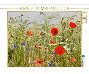 CALVENDO Puzzle l'agriculture Biologique avec des Coquelicots 1000 Pieces 64 x 48 cm from Meike Bölts