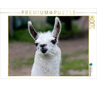 CALVENDO Puzzle Lama Unschool 1000 Pieces 64 x 48 cm from Mico10