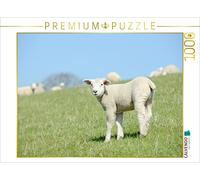 CALVENDO Puzzle Lamm Steht Auf der Wiese 1000 Teile Puzzle quer 1000 Pieces 64 x 48 cm from Carola Schubbel
